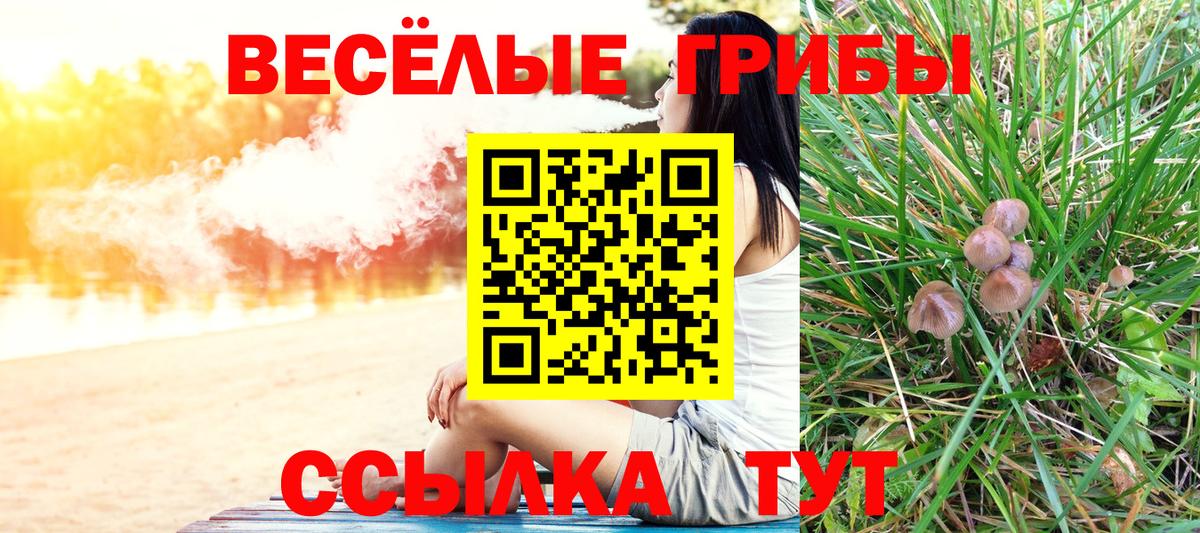 Псилоцибиновые грибы MAGIC MUSHROOMS  наркотики  Алушта  Вход с VPN 